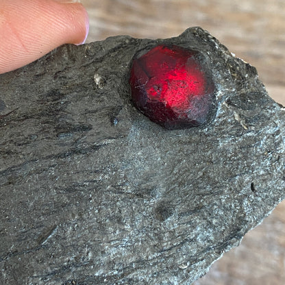 Garnet in Graphite, Red Embers Mine Massachusetts