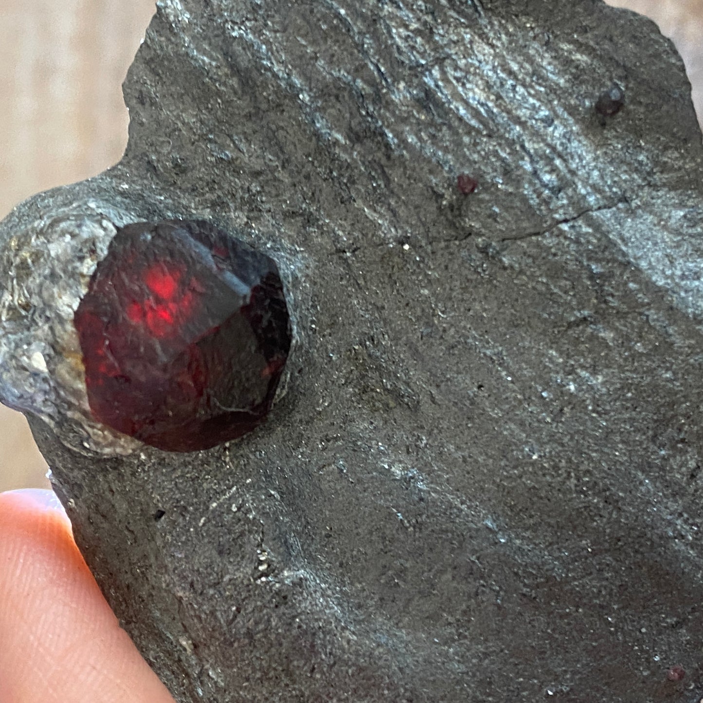 Garnet in Graphite, Red Embers Mine Massachusetts