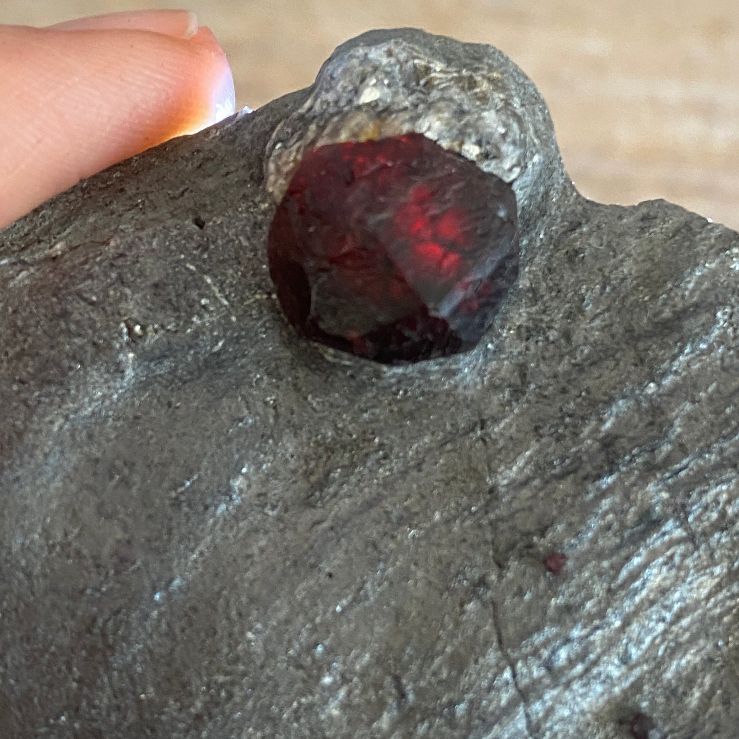 Garnet in Graphite, Red Embers Mine Massachusetts