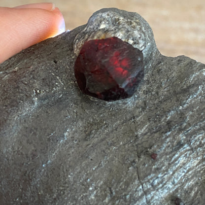 Garnet in Graphite, Red Embers Mine Massachusetts