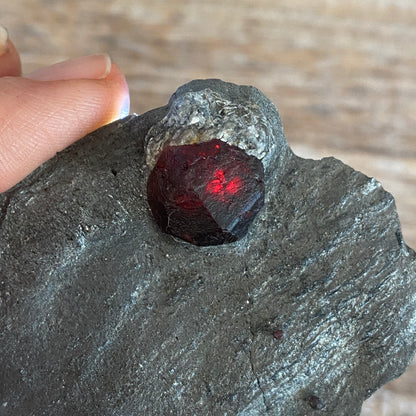 Garnet in Graphite, Red Embers Mine Massachusetts