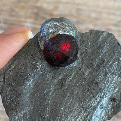 Garnet in Graphite, Red Embers Mine Massachusetts
