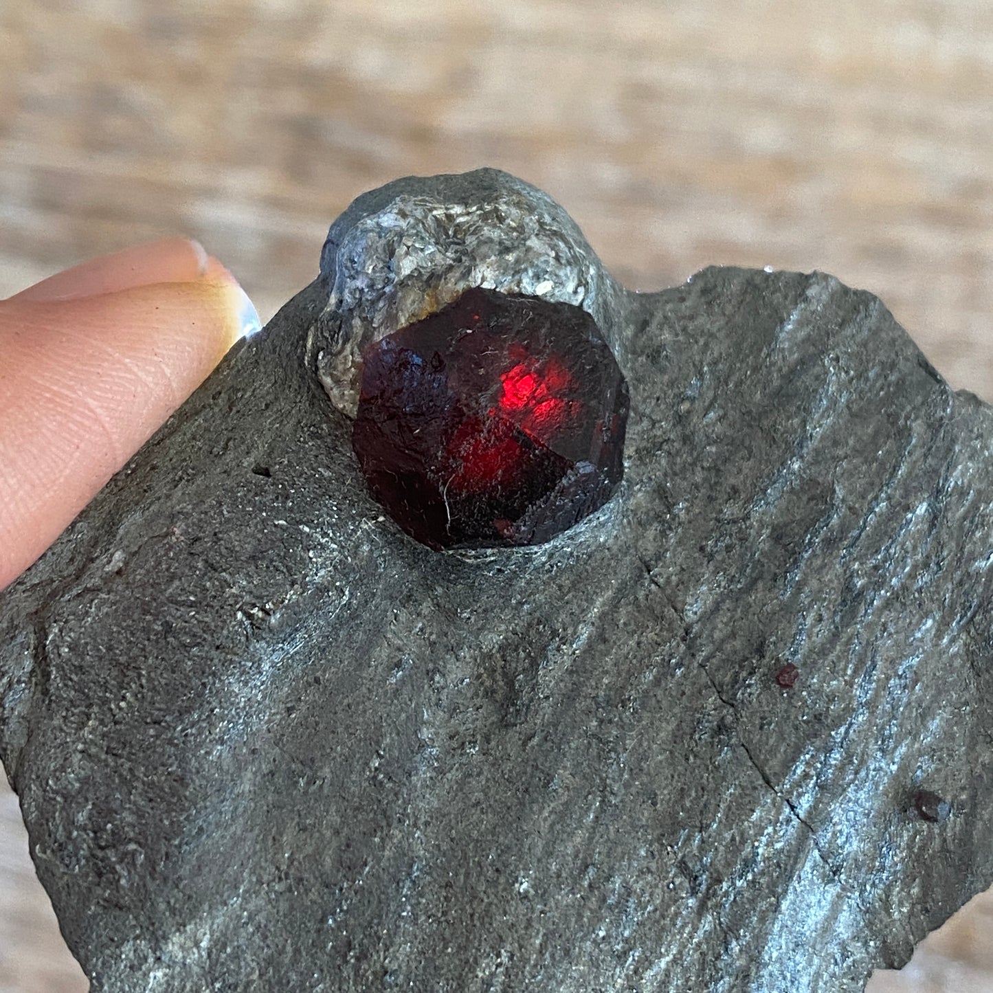 Garnet in Graphite, Red Embers Mine Massachusetts