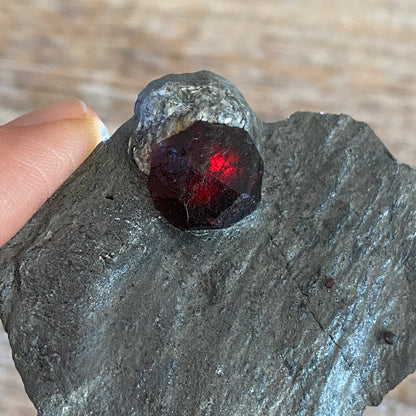 Garnet in Graphite, Red Embers Mine Massachusetts