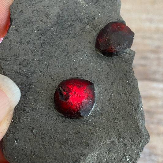 Garnet in Graphite, Red Embers Mine Massachusetts