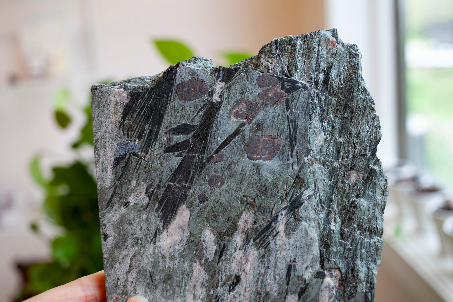 Garnet and Hornblende from Hawley, MA.