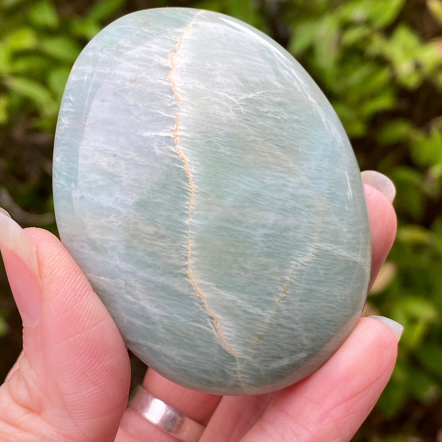 Garnierite Palm Stone