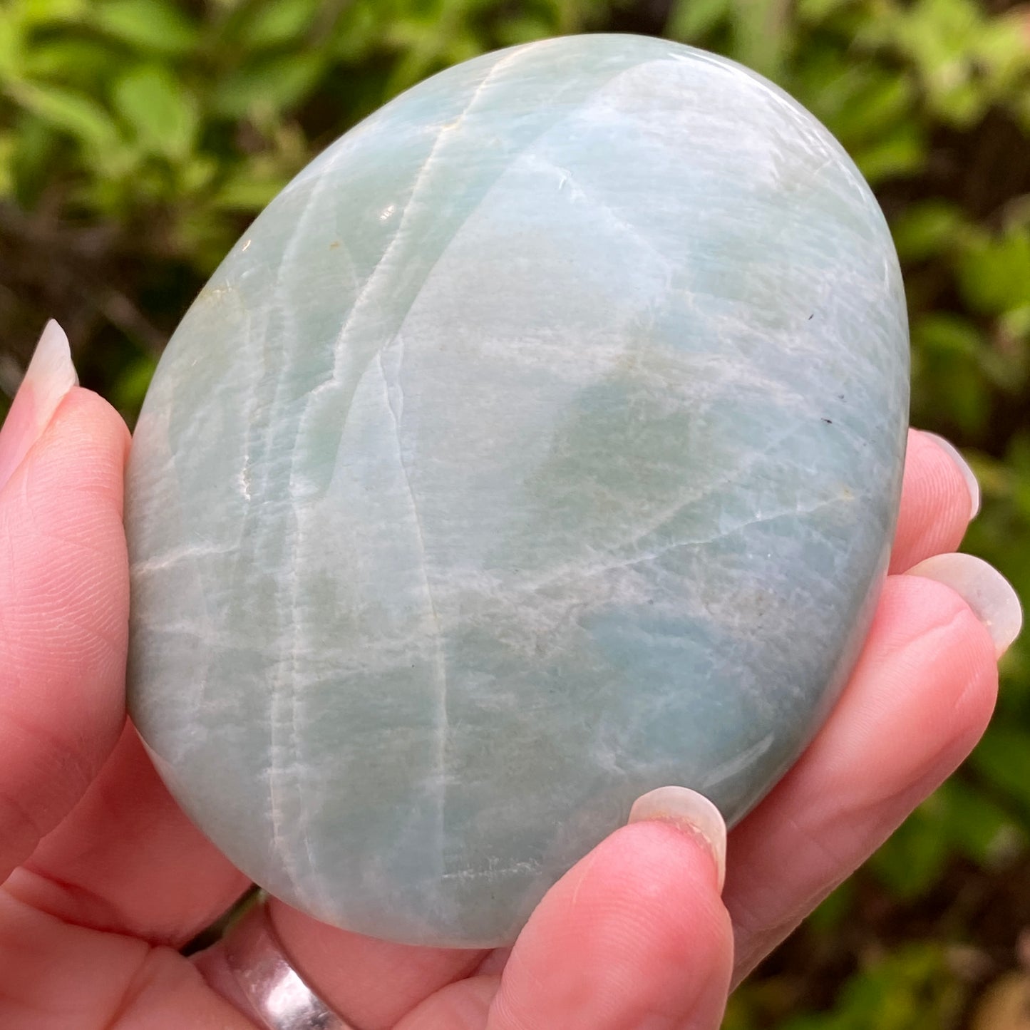 Garnierite Palm Stone