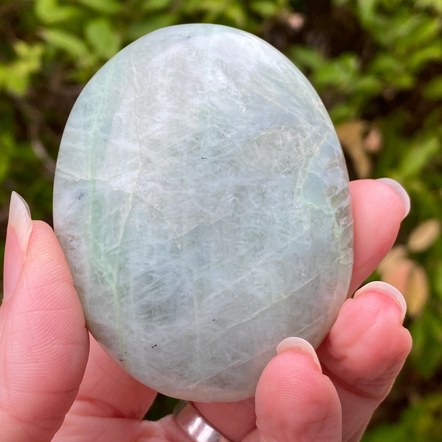 Garnierite Palm Stone
