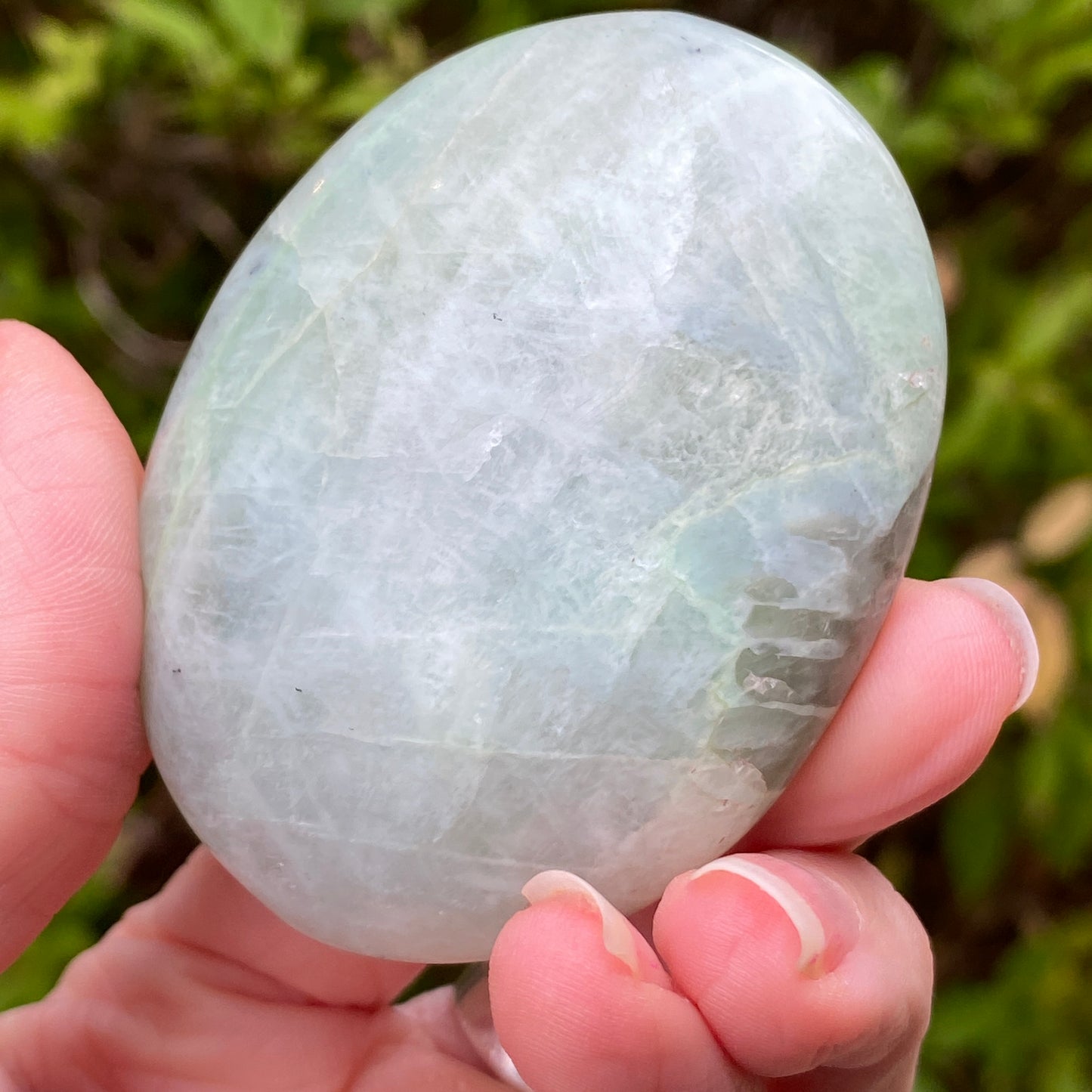 Garnierite Palm Stone