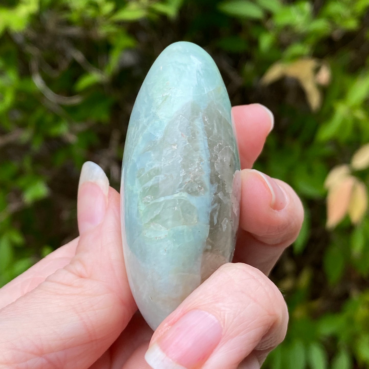 Garnierite Palm Stone