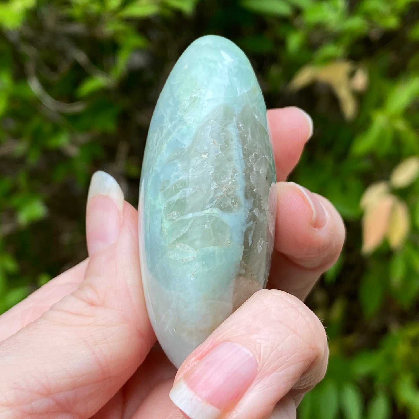 Garnierite Palm Stone