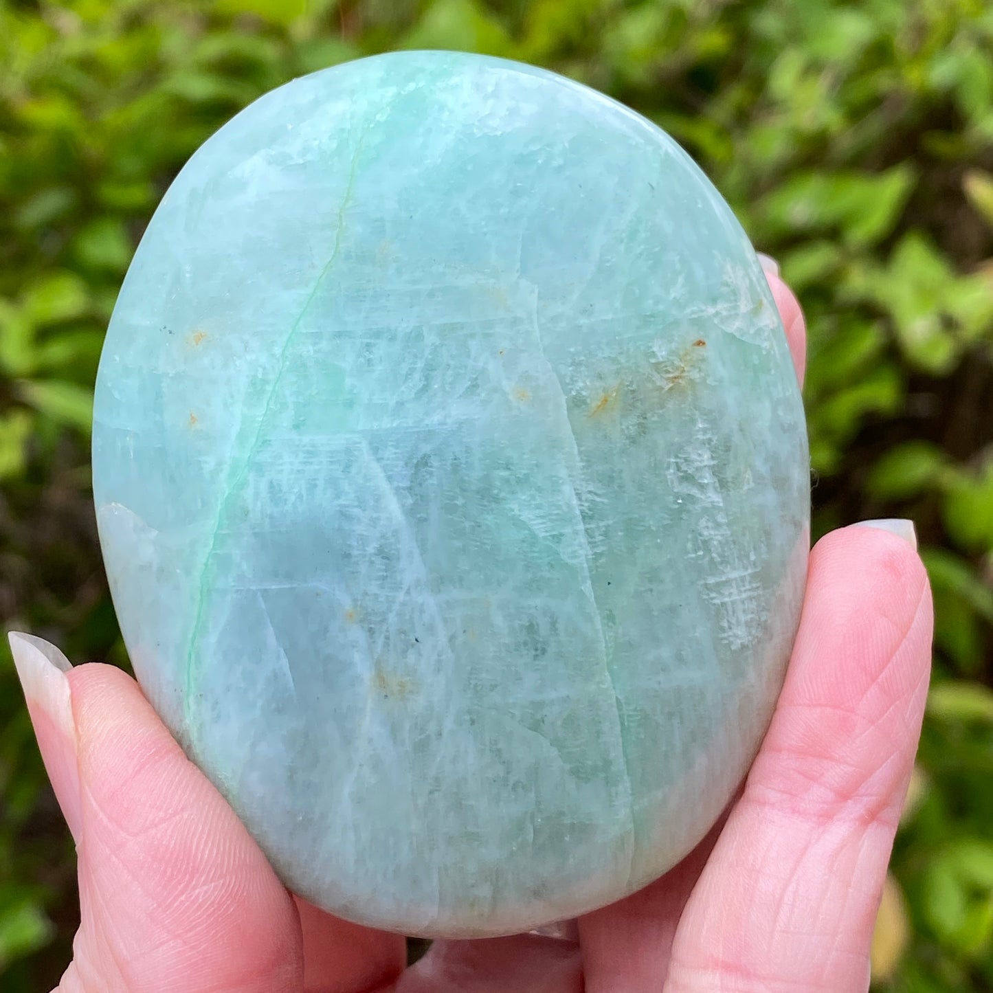 Garnierite Palm Stone