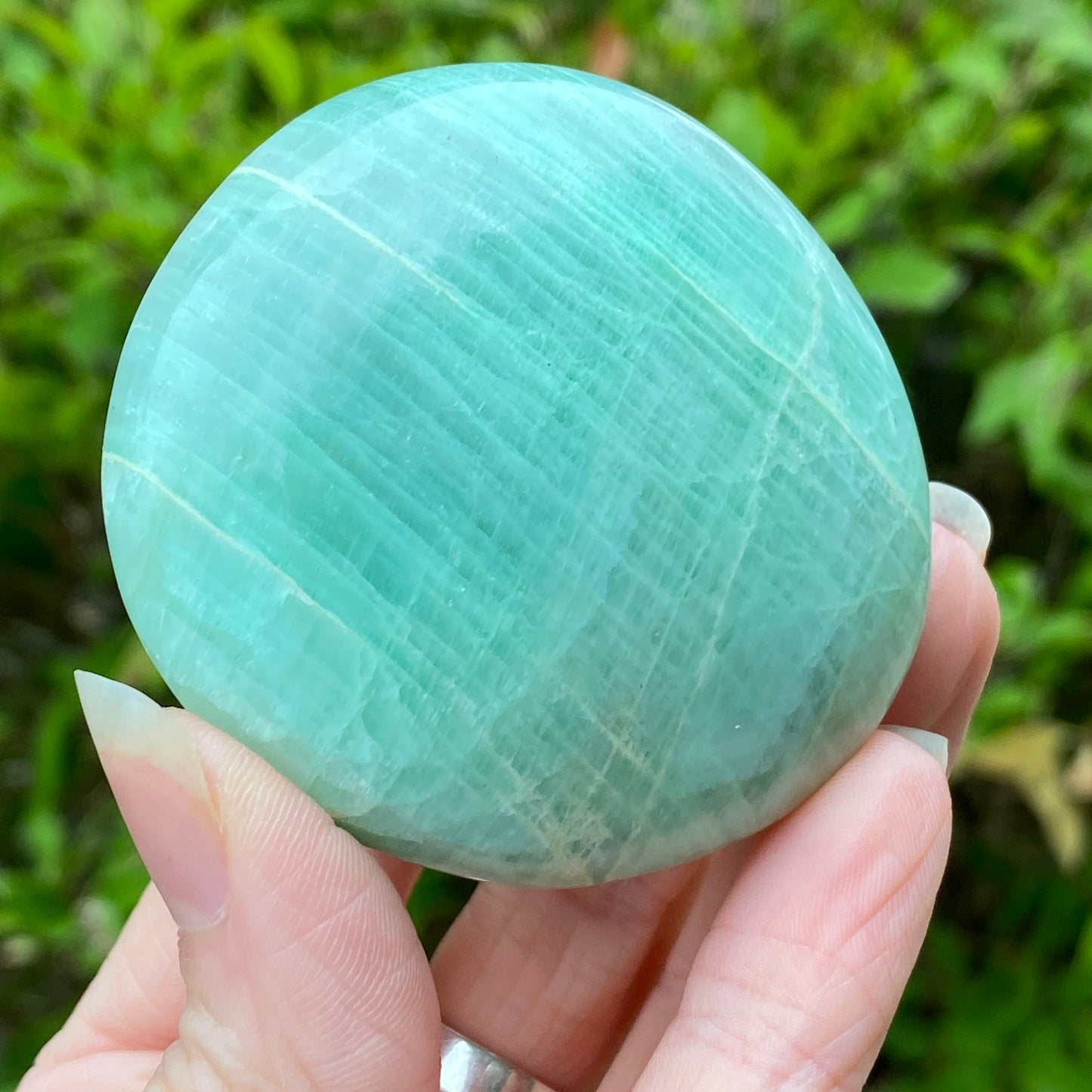 Garnierite Palm Stone