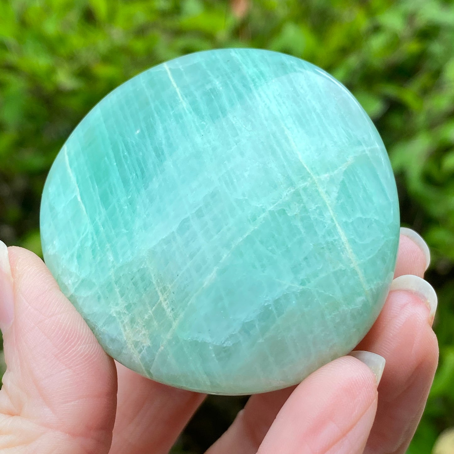 Garnierite Palm Stone