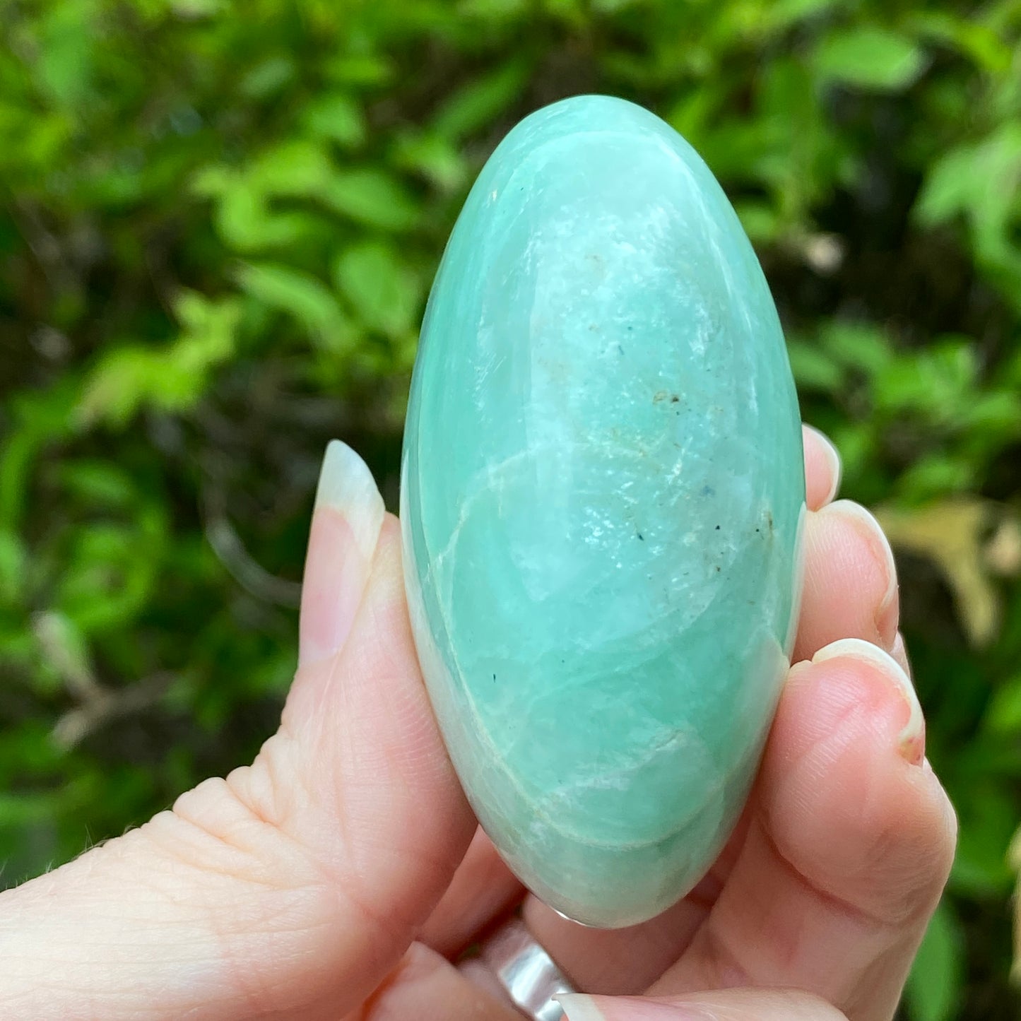 Garnierite Palm Stone