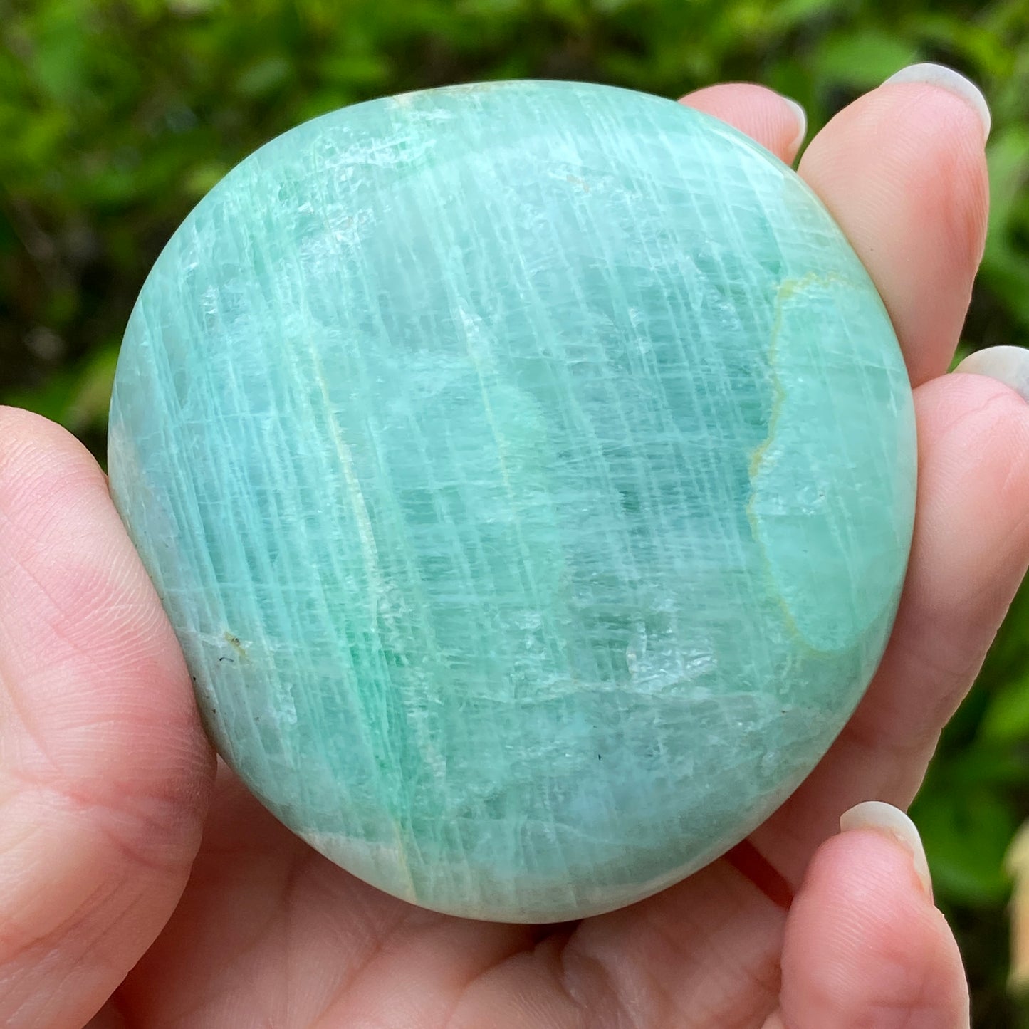 Garnierite Palm Stone