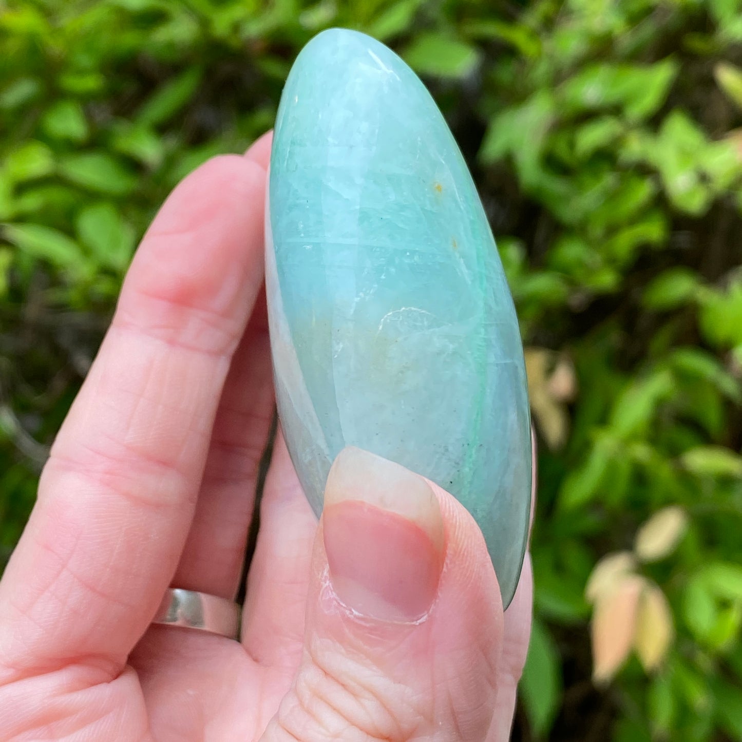 Garnierite Palm Stone