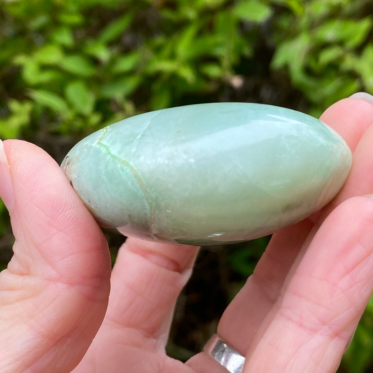 Garnierite Palm Stone