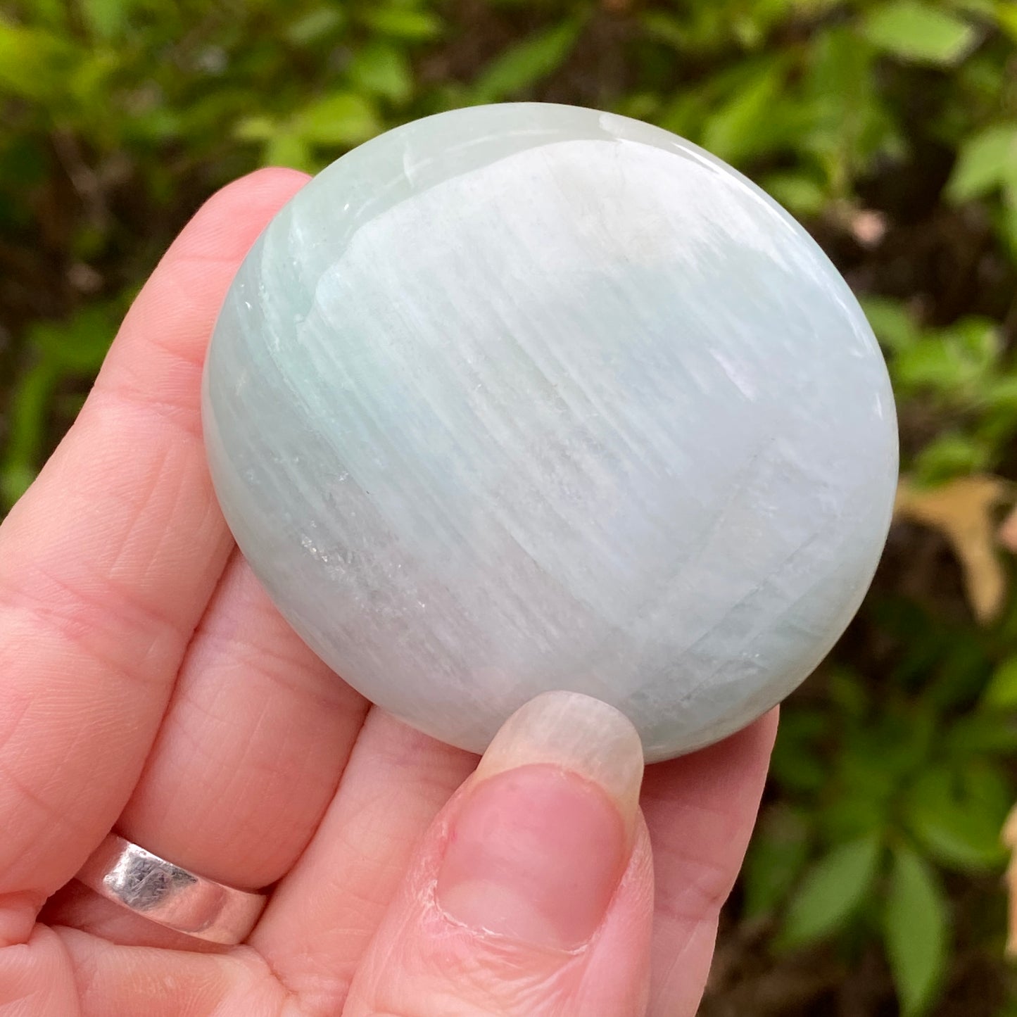 Garnierite Palm Stone