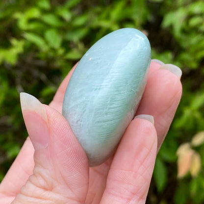 Garnierite Palm Stone