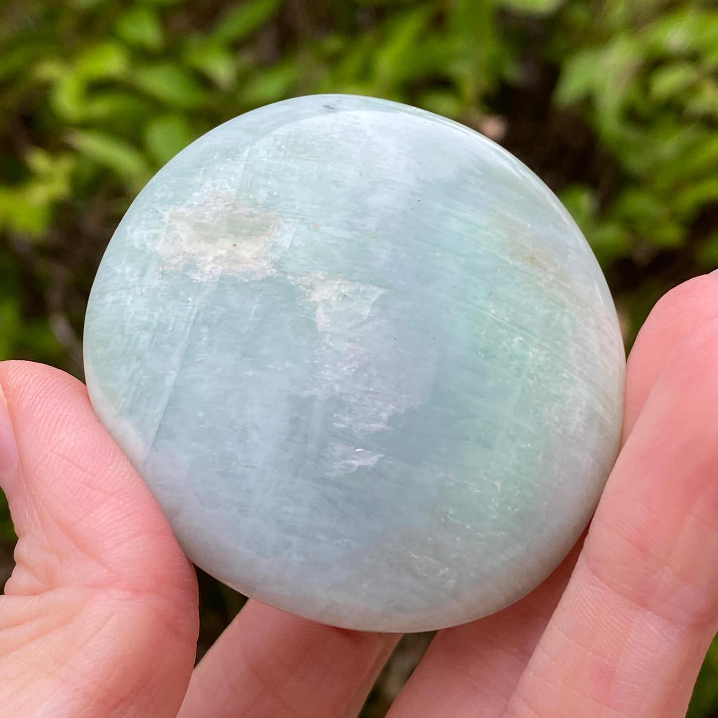 Garnierite Palm Stone