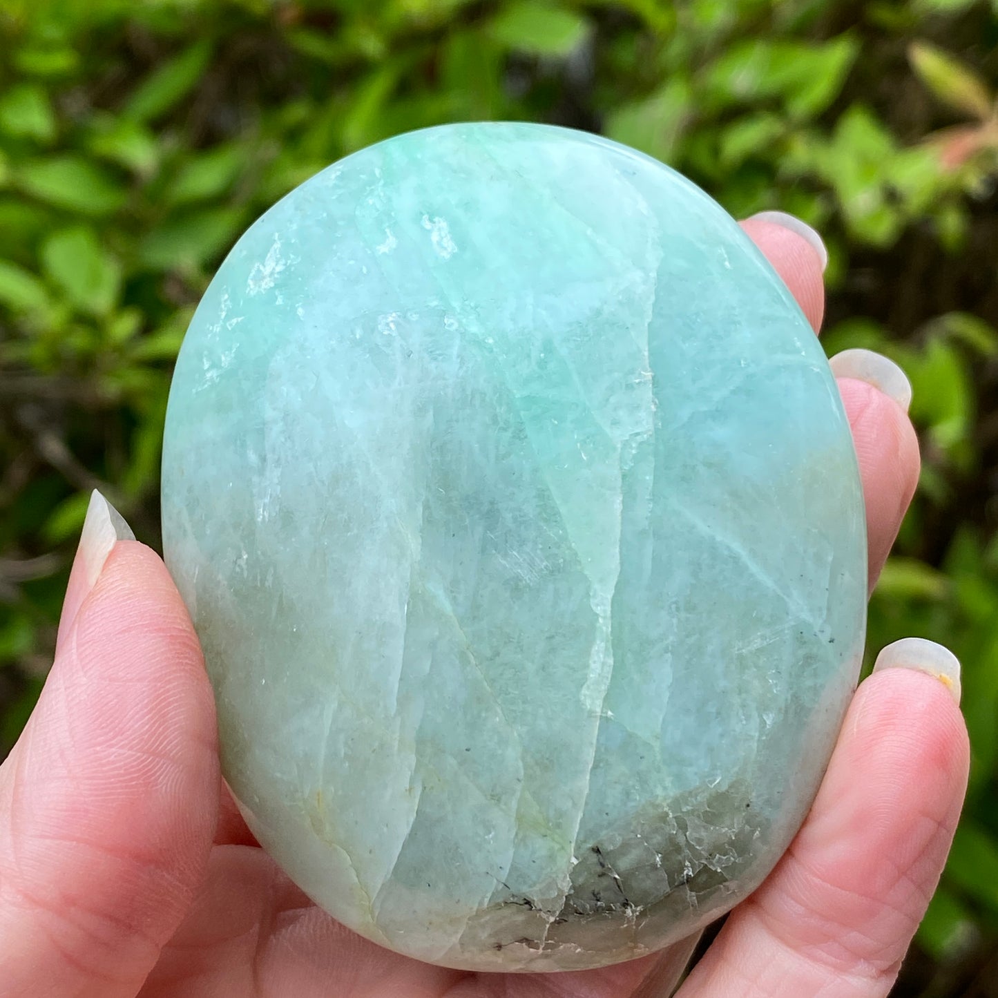 Garnierite Palm Stone