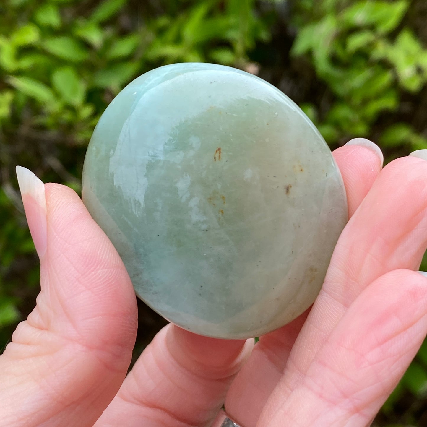 Garnierite Palm Stone