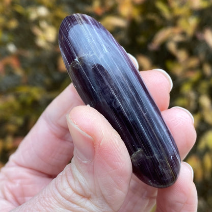 Gem Lepidolite Shiva