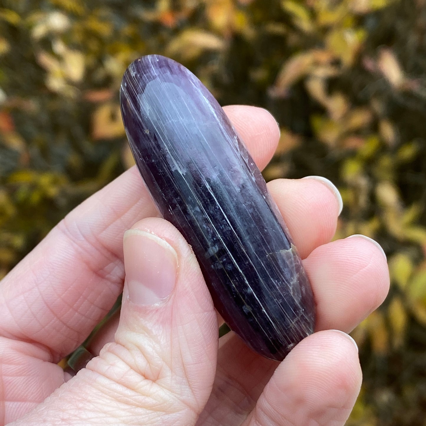 Gem Lepidolite Shiva