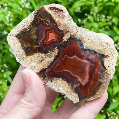 Vivid Red Thunder Egg Geode, Saxony Germany, St. Egidien