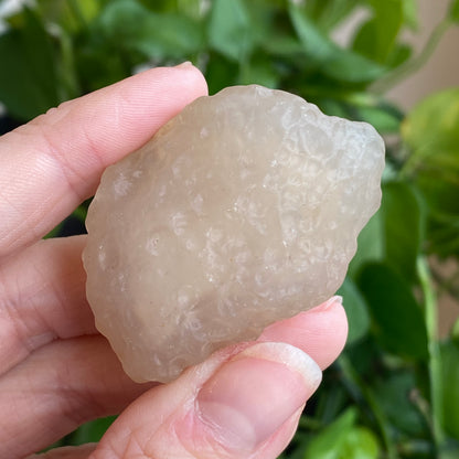 Gobi Desert Agate, Sand Inclusions