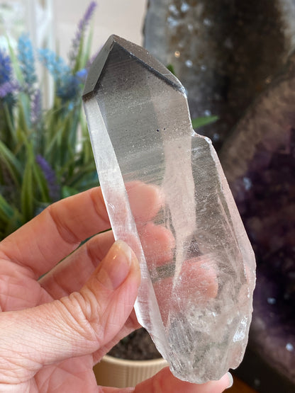 Graphite Phantom Lemurian