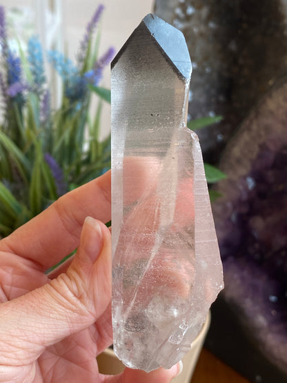 Graphite Phantom Lemurian