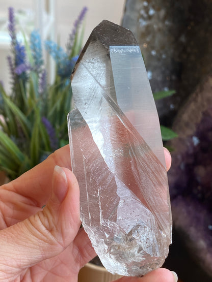 Graphite Phantom Lemurian