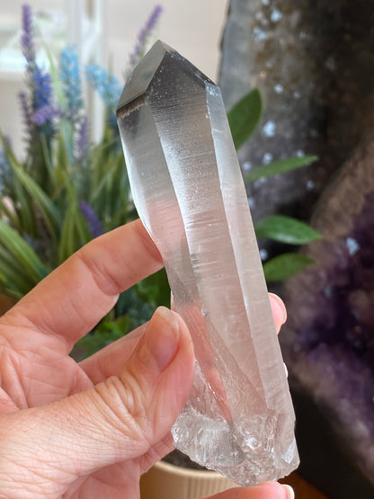 Graphite Phantom Lemurian