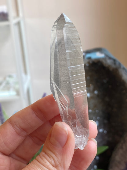 Graphite Phantom Lemurian