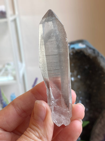 Graphite Phantom Lemurian