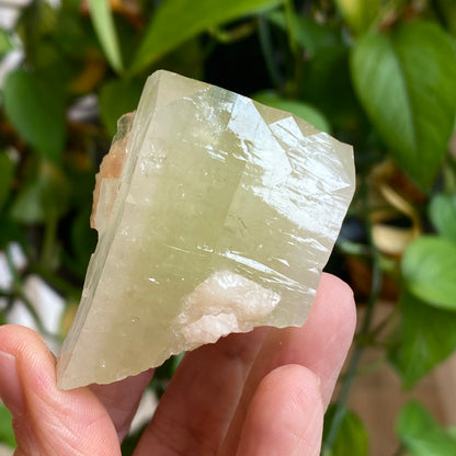 Green Apophyllite