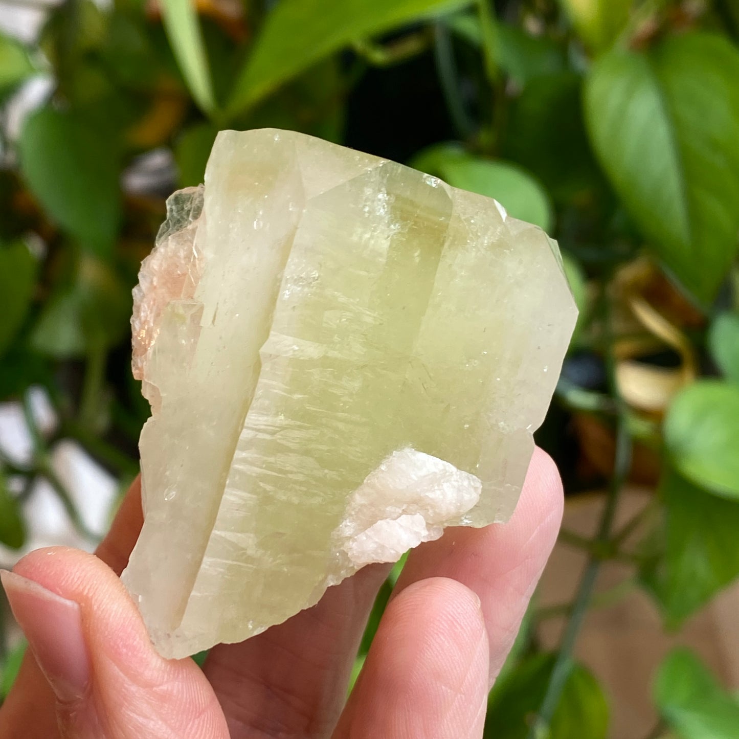 Green Apophyllite