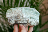 Chatoyant Green Aragonite From Spain