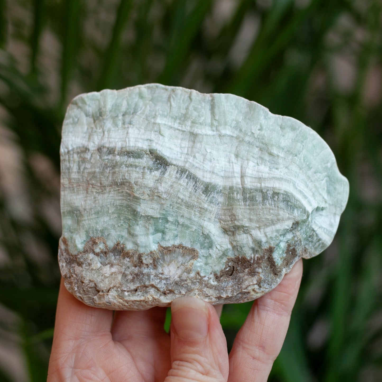 Chatoyant Green Aragonite From Spain