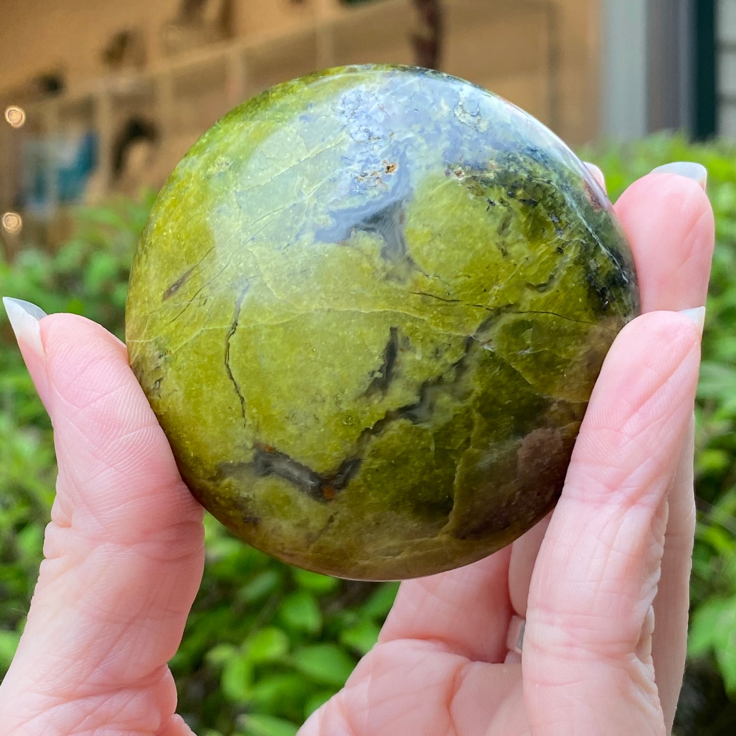 Green Opal Palm Stone