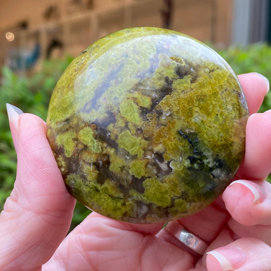 Green Opal Palm Stone