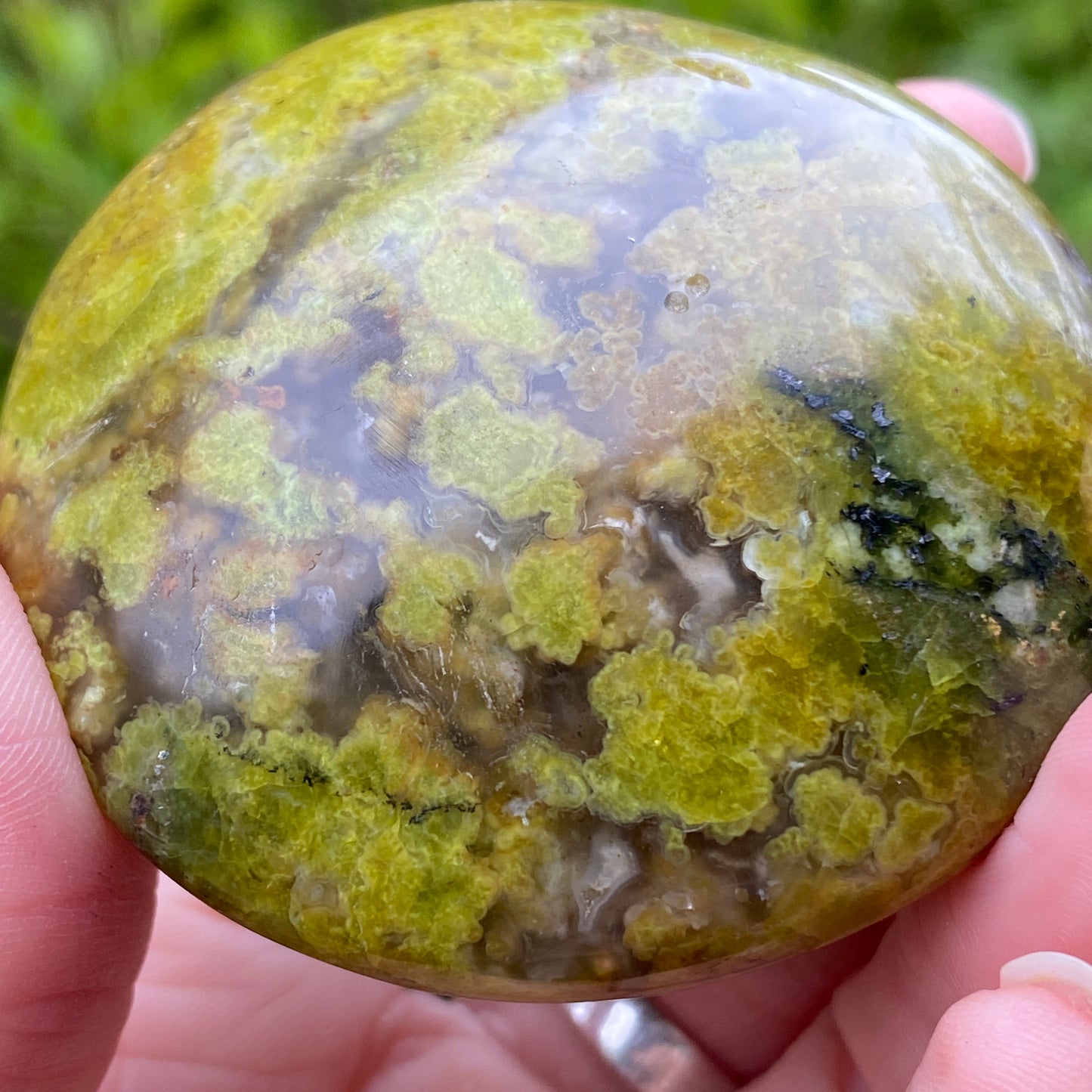 Green Opal Palm Stone