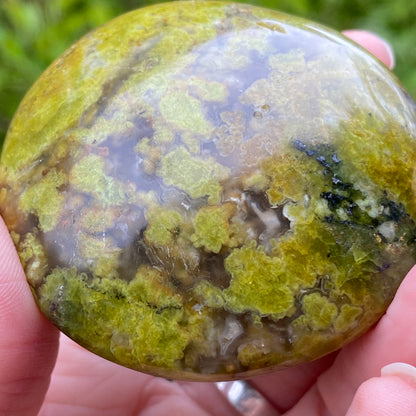 Green Opal Palm Stone