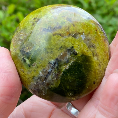 Green Opal Palm Stone