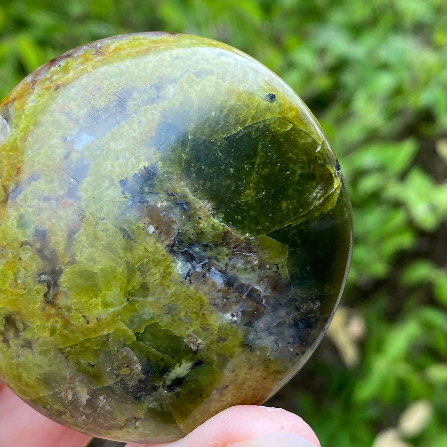 Green Opal Palm Stone