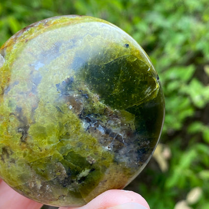 Green Opal Palm Stone