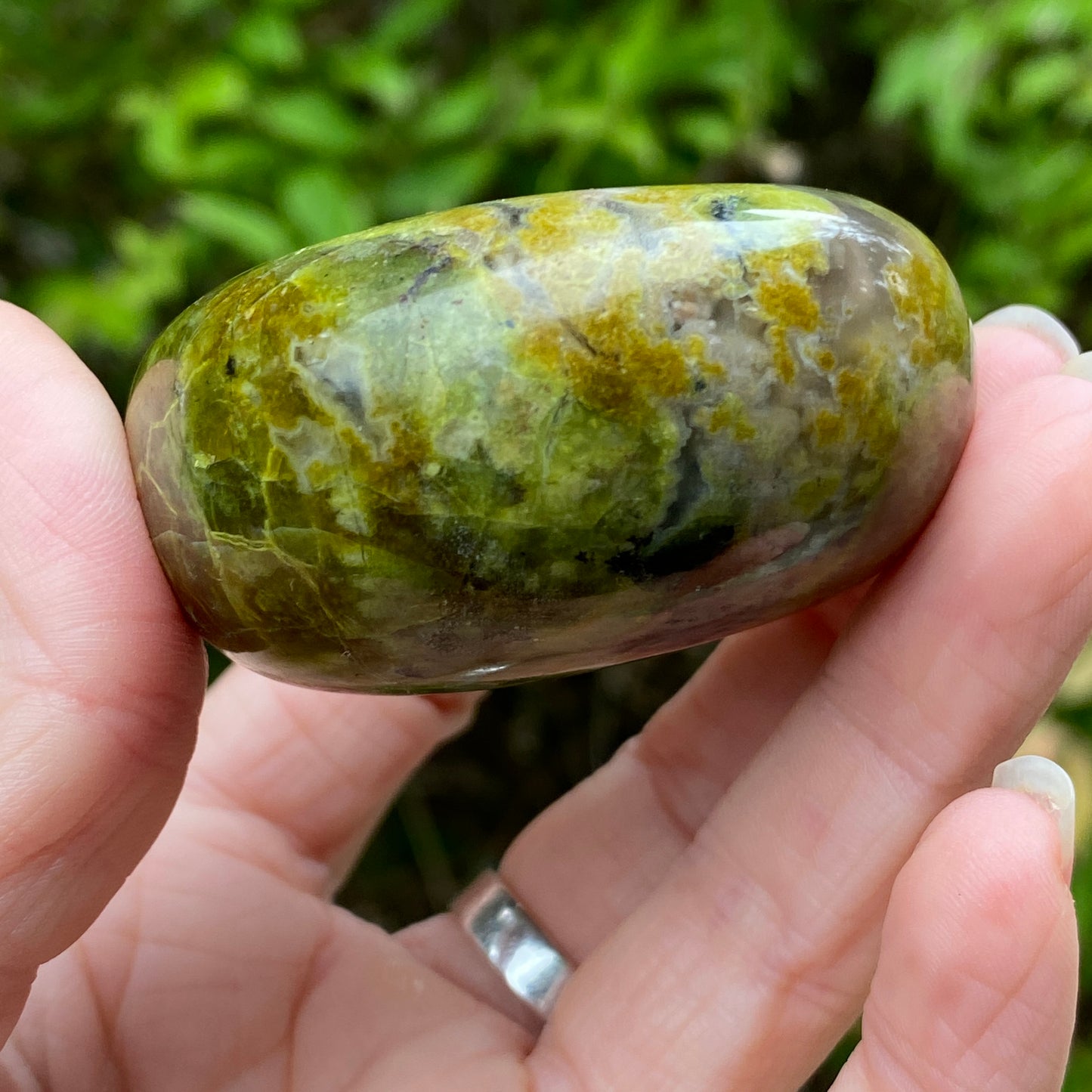 Green Opal Palm Stone